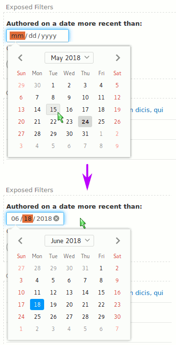 Date Popup Exposed Filter